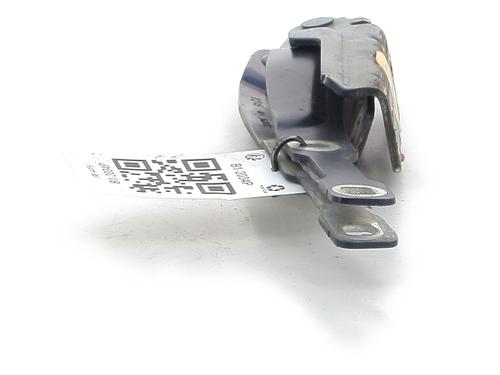 Hinge/Door check strap DACIA SANDERO II 1.2 | BP27912028C146