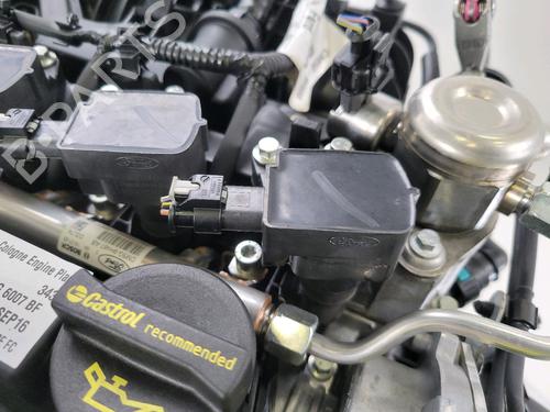 Engine FORD FIESTA VI (CB1, CCN) 1.0 EcoBoost | BP29964447M1 