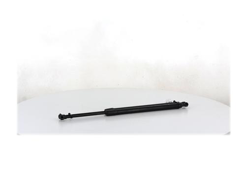 Tailgate lift support RENAULT MODUS / GRAND MODUS (F/JP0_) 1.4 (JP01, JP0J) | BP30798921C138