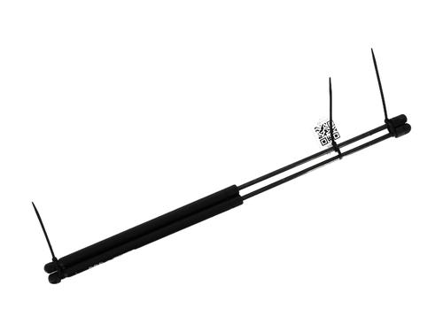 Used Tailgate lift support FORD KUGA I 2.0 TDCi 4x4 (136 hp) 27904147