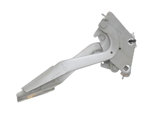 Used Hinge/Door check strap RENAULT MEGANE III Hatchback (BZ0/1_, B3_) 1.5 dCi (BZ09, BZ0D, BZ1W, BZ29, BZ14) (110 hp) 32076998