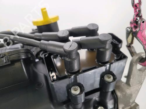 Engine RENAULT CLIO II (BB_, CB_)  | BP29198312M1 