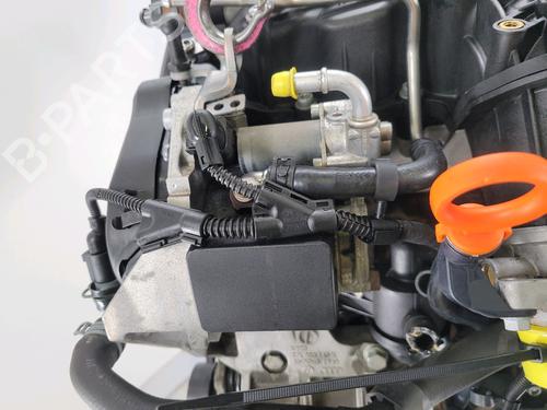 Engine VW GOLF VI (5K1) 1.6 TDI | BP29346737M1 