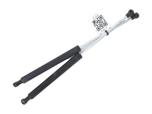Heckklappendämpfer für RENAULT CLIO II (BB_, CB_) 1.2 (BB0A, BB0F, BB10, BB1K, BB28, BB2D, BB2H, CB0A,... (58 hp) 28486536
