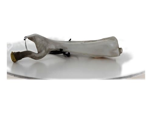 Used Windscreen washer tank RENAULT MEGANE IV Hatchback (B9A/M/N_) 1.6 dCi 165 (163 hp) 26899604