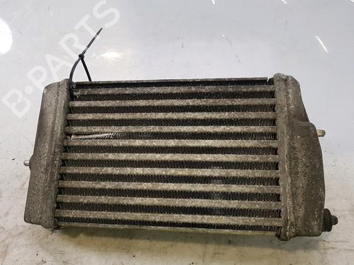 BP16378173M30 | Intercooler CHRYSLER VOYAGER IV (RG, RS) 2.5 CRD BP16378173M30