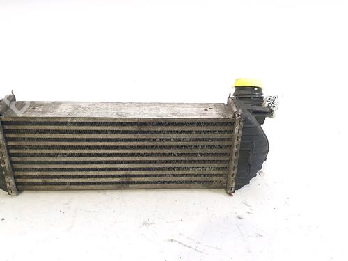 Intercooler MERCEDES-BENZ CITAN Box Body/MPV (W415) 109 CDI (415.601, 415.603, 415.605) | BP29517508M30 
