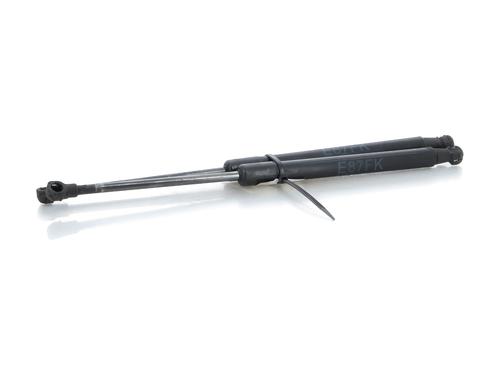 Hood lift support BMW 1 (E87) 118 d | BP27904085C139 