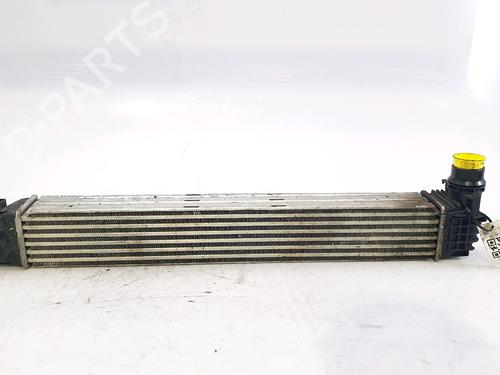 Intercooler RENAULT MEGANE III Hatchback (BZ0/1_, B3_) 1.5 dCi (BZ1G, BZ1W, BZ0R) | BP29231367M30 