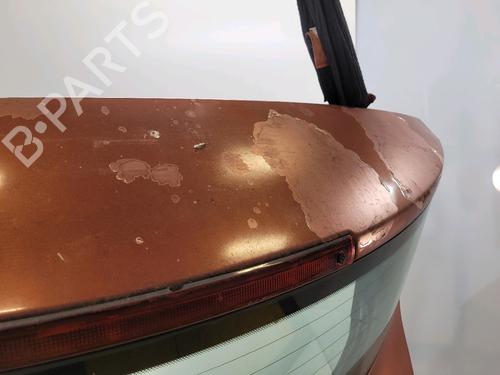 Tailgate RENAULT MEGANE II (BM0/1_, CM0/1_) 1.5 dCi (BM1F, CM1F) | BP27553495C6 