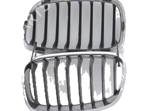 grille-bmw-1-f20-2011-2012-2013-2014-2015-2016-2017-2018-2019-39665799 main image