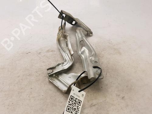 Used Hinge/Door check strap FIAT BRAVO II (198_) 1.6 D Multijet (198AXM1B) (90 hp) 27919497