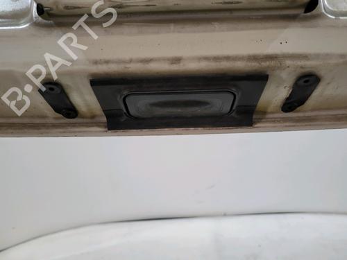 Tailgate RENAULT CLIO III (BR0/1, CR0/1) 1.5 dCi (BR17, CR17) | BP29390266C6 