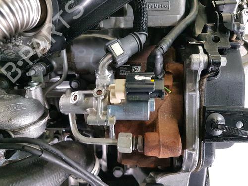 Engine FORD FOCUS III  | BP33166303M1  - Image 6
