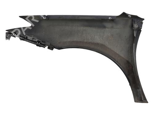 Right front fenders RENAULT LAGUNA III Grandtour (KT0/1) 2.0 dCi (KT07, KT0J, KT14, KT1A, KT1S) | BP29389768C42 