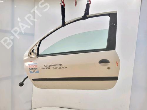 Left front door PEUGEOT 206+ (2L_, 2M_) 1.4 HDi eco 70 | BP29820236C2