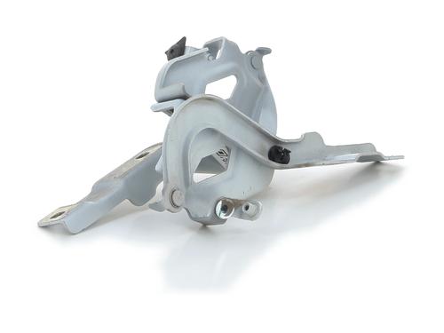 Hinge/Door check strap DACIA SANDERO III 1.0 SCe 65 | BP29296175C146 