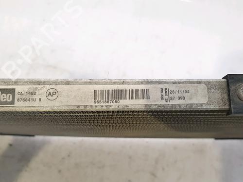 AC radiator PEUGEOT 206 Hatchback (2A/C) 1.6 16V | BP29522198M32 