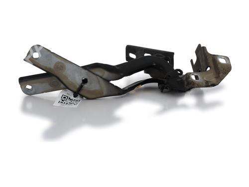 Hinge/Door check strap CITROËN C4 Picasso I MPV (UD_) 1.6 HDi 110 | BP28971299C146 