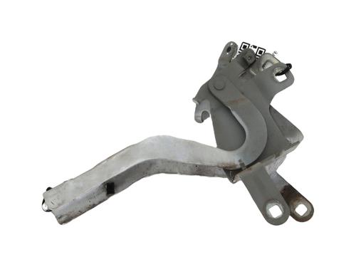 Used Hinge/Door check strap RENAULT CLIO IV (BH_) 0.9 TCe 90 (BHNF, BHMA, BHMH, BHJK, BHJR) (90 hp) 30558045