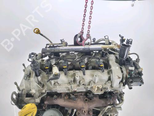 Engine FIAT PANDA (169_) 1.3 D Multijet (169.AXC1A) | BP25983416M1