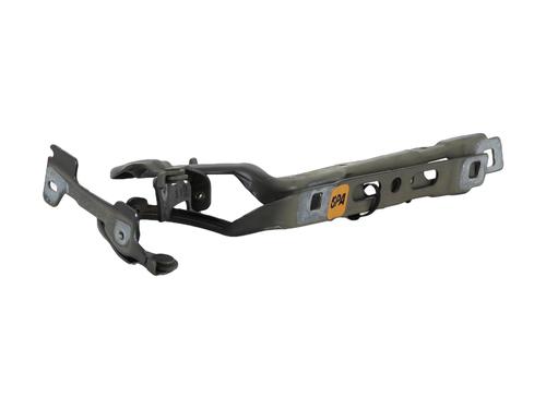 Hinge/Door check strap PEUGEOT 208 I (CA_, CC_) 1.5 BlueHDI 100 | BP29931273C146