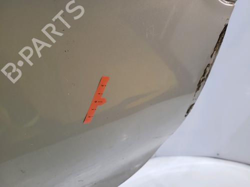 Left front door RENAULT TWINGO I (C06_) 1.2 (C066, C068) | BP25247676C2 