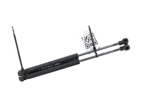 Used Tailgate lift support SMART FORTWO Coupe (450) 0.8 CDI (450.300, 450.301, 450.302, 450.303, 450.306) (41 hp) 27904598
