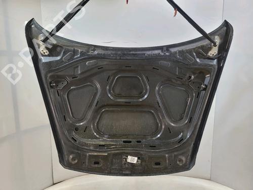Motorhjelm VW TOUAREG (7LA, 7L6, 7L7) 3.6 V6 FSI | BP25731730C1 
