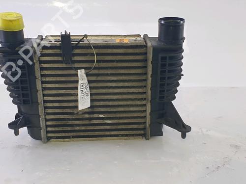 Intercooler RENAULT CLIO III (BR0/1, CR0/1) 1.5 dCi (BR17, CR17) | BP28121789M30 