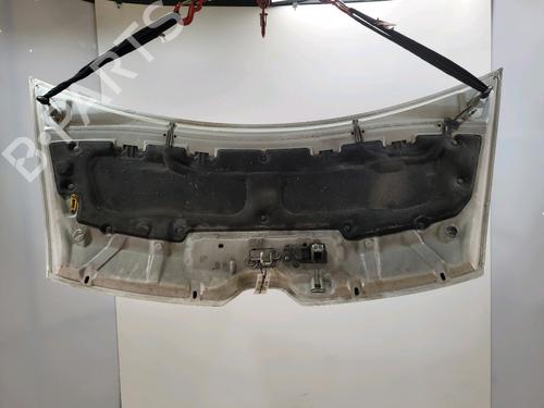 Hood RENAULT MASTER III Van (FV) 2.3 dCi 110 FWD (FV0R, FV0W, FV1A) | BP30049082C1 