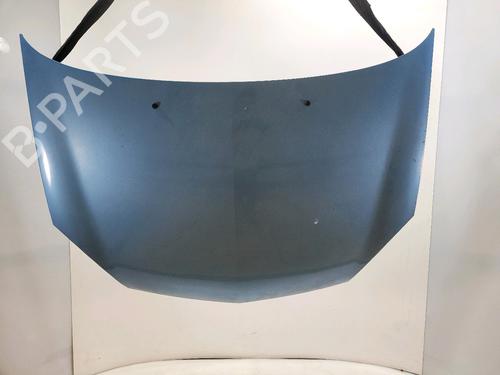 Used Hood RENAULT CLIO II (BB_, CB_) 1.2 16V (BB05, BB0W, BB11, BB27, BB2T, BB2U, BB2V, CB05,... (75 hp) 29623913