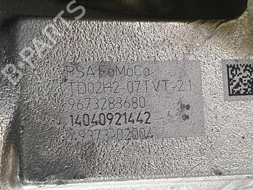 Engine FORD TRANSIT COURIER B460 Box Body/MPV  | BP34431622M1  - Image 6