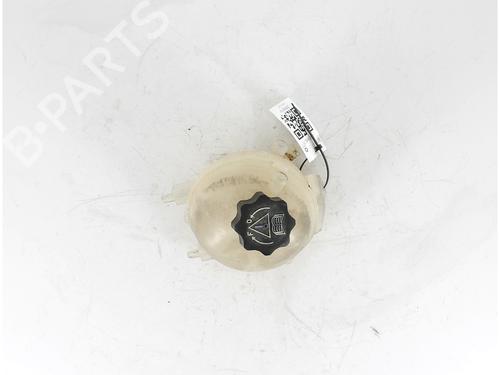 Expansion tank CITROËN C4 Grand Picasso I (UA_) 2.0 HDi 138 | BP16201744C120 