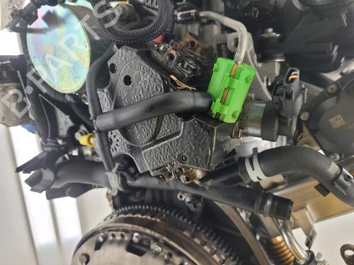 Engine RENAULT MEGANE IV Grandtour (K9A/M/N_) 1.6 dCi 130 | BP29320969M1 