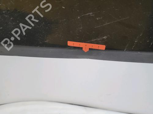 Left front door RENAULT CLIO III (BR0/1, CR0/1) 1.5 dCi (BR17, CR17) | BP29874977C2