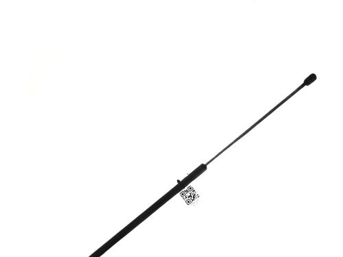 Used Hood lift support AUDI A3 (8P1) 1.6 TDI (105 hp) 27912789
