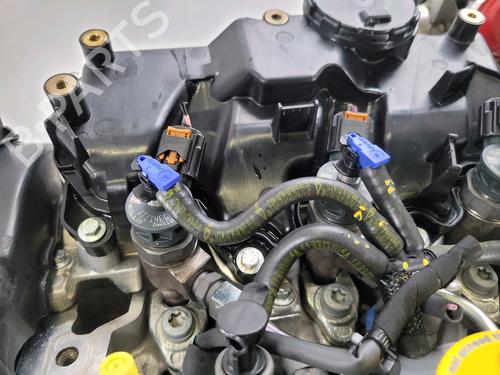 Engine RENAULT MEGANE IV Grandtour (K9A/M/N_) 1.5 Blue dCi 115 (K9A6) | BP29701917M1 