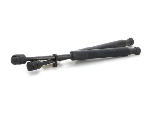 Hood lift support RENAULT SCÉNIC III (JZ0/1_) 1.5 dCi | BP29047708C139 