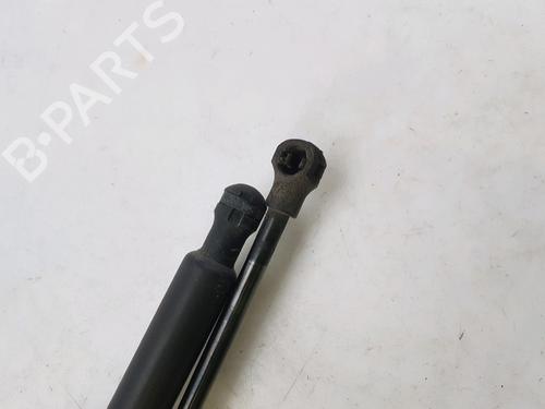 Tailgate lift support PEUGEOT 208 I (CA_, CC_) 1.4 HDi | BP27916890C138 
