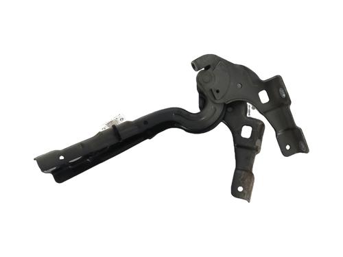 Used Hinge/Door check strap CITROËN C4 II (NC_) 1.6 HDi 115 (114 hp) 30799588