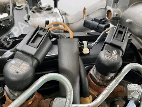 Engine RENAULT SCÉNIC II (JM0/1_) 1.5 dCi (JM1E, JM16) | BP31635474M1 