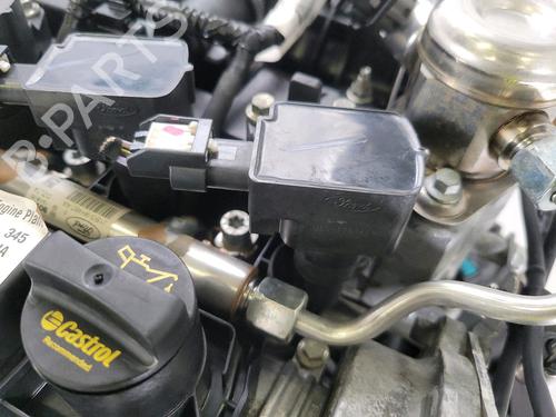 Engine FORD FIESTA VII (HJ, HF) 1.0 EcoBoost Active | BP29740877M1 