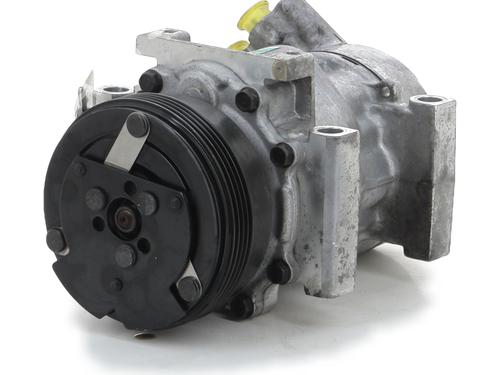 Compressor A/C RENAULT KANGOO (KC0/1_) 1.2 16V (KC05, KC06, KC03, KC0T, KC0W, KC1D) (75 hp) 29701983