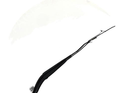 Front windshield wiper arm RENAULT MEGANE II Coupé-Cabriolet (EM0/1_) 1.5 dCi (EM1E) | BP29495523C143