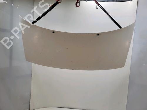 Used Hood CITROËN JUMPY I (U6U_) 1.6 (79 hp) 28122104