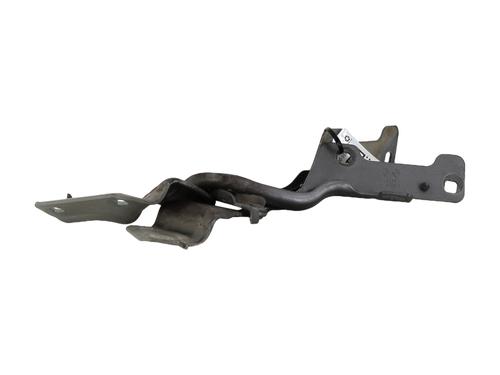 Hinge/Door check strap RENAULT CLIO III (BR0/1, CR0/1) 1.5 dCi (BR17, CR17) | BP27914968C146 
