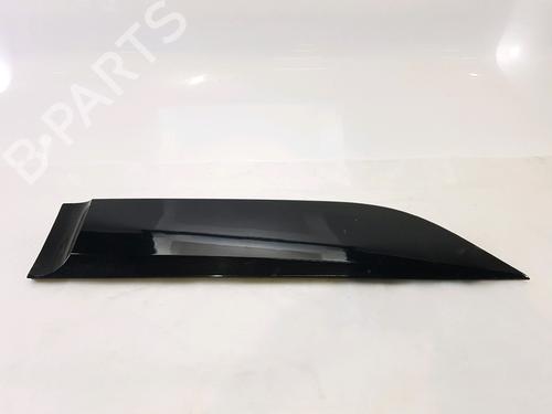 Used Door moulding trim RENAULT SCÉNIC III (JZ0/1_) 1.5 dCi (110 hp) 27910250