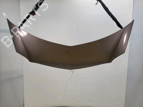 hood-renault-modus-grand-modus-fjp0_-2004-32770414 main image