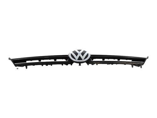 Grille VW GOLF VII (5G1, BQ1, BE1, BE2) 1.6 TDI | BP29931589C40 